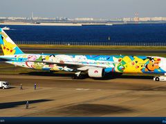 -全日本空输株式会社(上海办事处)