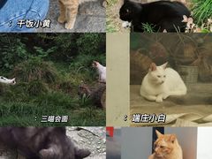 -西园寺