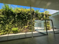 -金泽21世纪美术馆