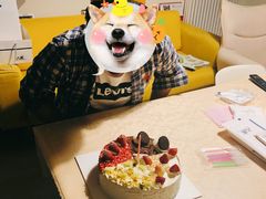 -八喜冰淇淋蛋糕(富国店)