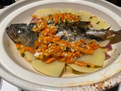 -樽宴酒楼·地道川菜·品质宴请