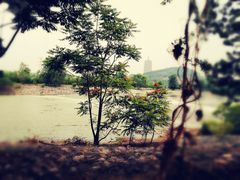 -永定河休闲森林公园