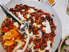 -天辣(金桥啦啦宝都店)