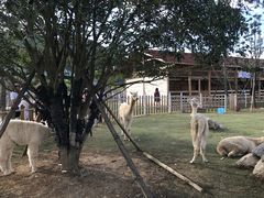 -云漫湖生态度假公园