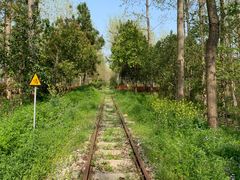 -合肥滨湖国家森林公园