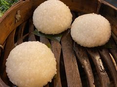 茨毛圆子-双塔老饭店