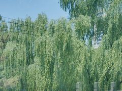 -元大都城垣遗址公园