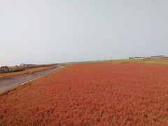 -红海滩国家风景廊道