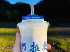 -新疆那拉提国家旅游度假区