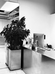 -Hair  Gallery