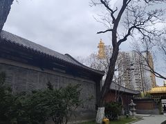-护国法轮寺