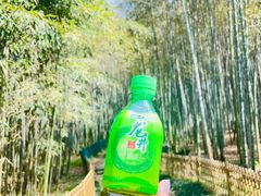 -杭州植物园