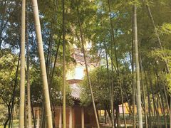 -阿育王寺