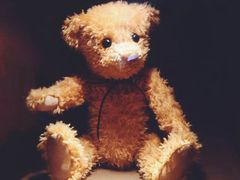 -济州岛泰迪熊博物馆