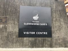 -怀托摩萤火虫洞