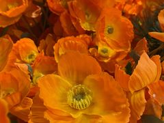 -宜家家居(高新商场店)