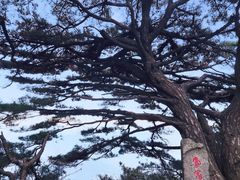 -罗田薄刀峰风景区