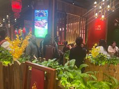 -老滇山寨•云南特色菜•地方菜•民族风情歌舞表演(金碧店)