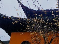 -西园戒幢律寺