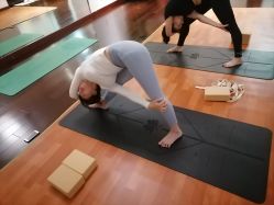 -Yvon yoga 瑜伽·精准体态管理中心