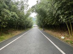-都江堰中华大熊猫苑