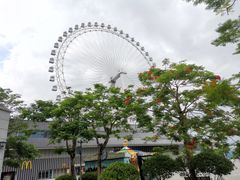 -上南瓦煲鸡·清远鸡·老字号(总店)
