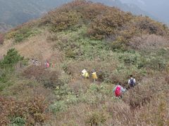 -罗田天堂寨风景区