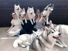 -TrueLove @ Neverland (Husky Cafe)