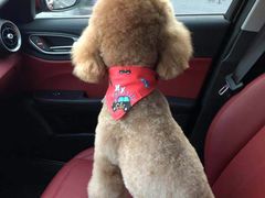 -喵汪宠物生活馆(涞坊路店)