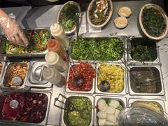 -油梨树AVOCADO TREE(顺义新国展店)