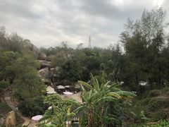 -厦门园林植物园-植物园滴水山房