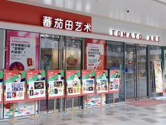 -蕃茄田艺术•美术绘画 •硬笔书法(滨江海威领界店)