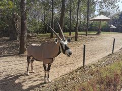 -大连森林动物园