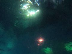 -海棠湾洲际-涛·海底餐厅·美人鱼·自助餐·海底隧道