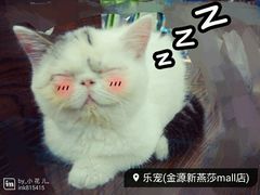 android_upload_pic-乐宠宠物店(世纪金源店)