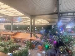 -君临七星生态酒店