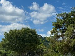 -景福宫