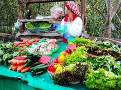 -Bamboo Saturday Market(Nana Jungle)
