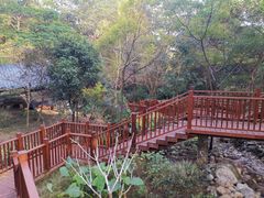 -聚龙山公园