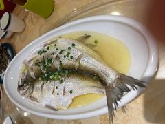 清蒸白水鱼-锡和无锡菜(景丽苑店)