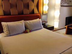 -惠州康帝国际酒店