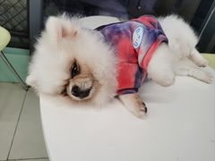 -怪兽屋·羊驼·猫咖·狗咖(俊华广场店)