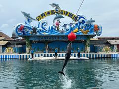 -海南分界洲岛旅游区