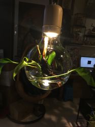 -周忆刺青原创设计定制