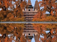 -北京石刻艺术博物馆(五塔寺)