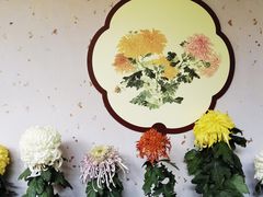 -杭州植物园