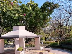 -九龙寨城公园