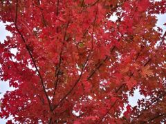 -北京宽沟会议中心