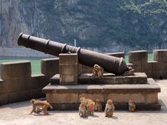 -白帝城·瞿塘峡景区