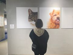 -瑞虹新天地月亮湾